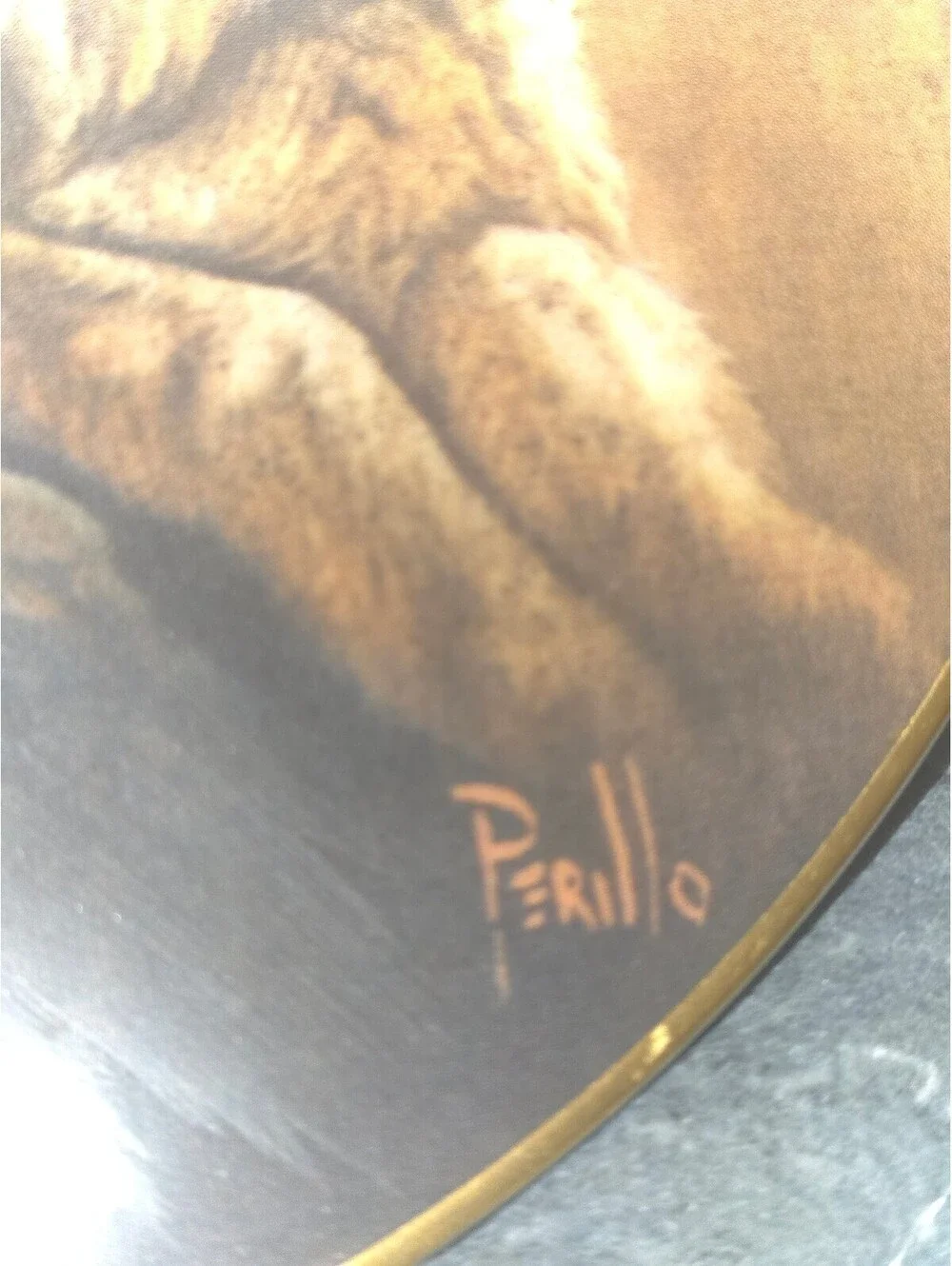 Vintage 1978 Gregory Perillo Mighty Sioux Collector Plate 8.25